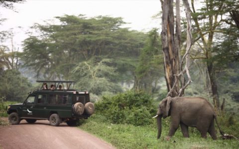 Tanzania & Zanzibar