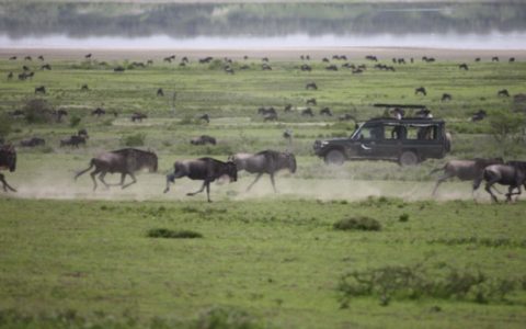 Tanzania & Zanzibar