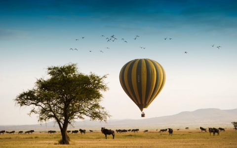 Tanzania & Zanzibar