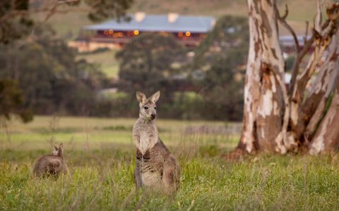 New South Wales